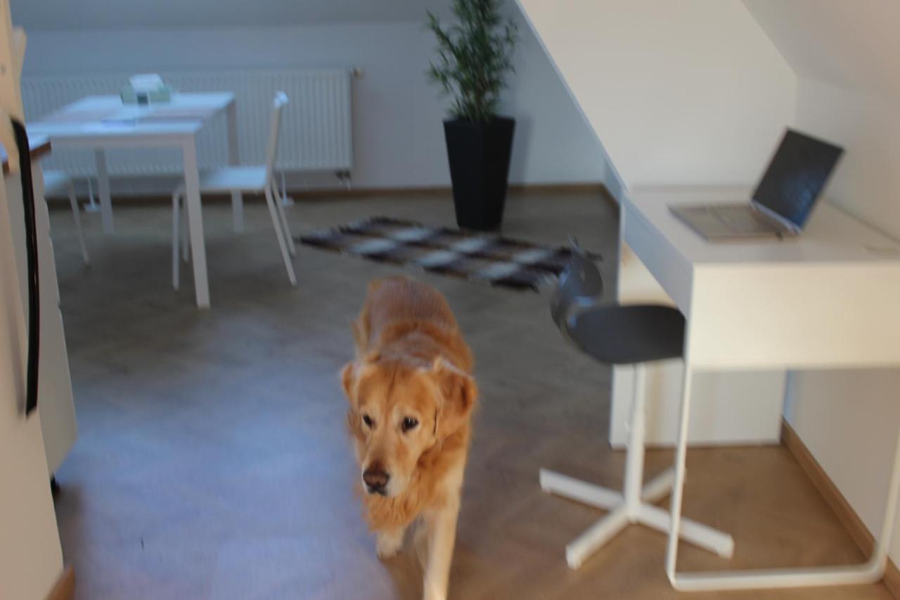 Apartament Haus Semmi Fuerstenfeld Zewnętrze zdjęcie